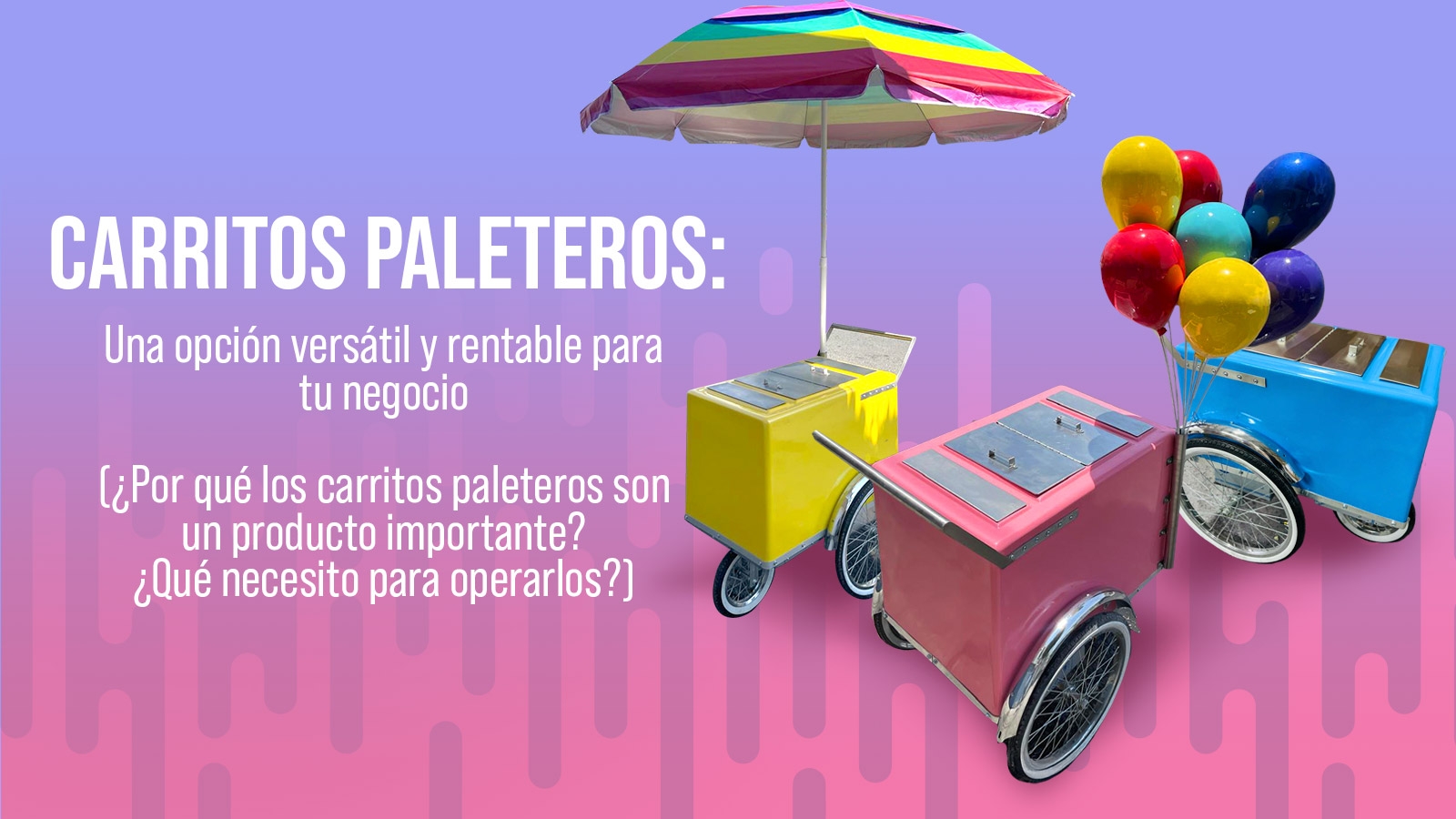 Carritos paleteros: Una opción versátil y rentable